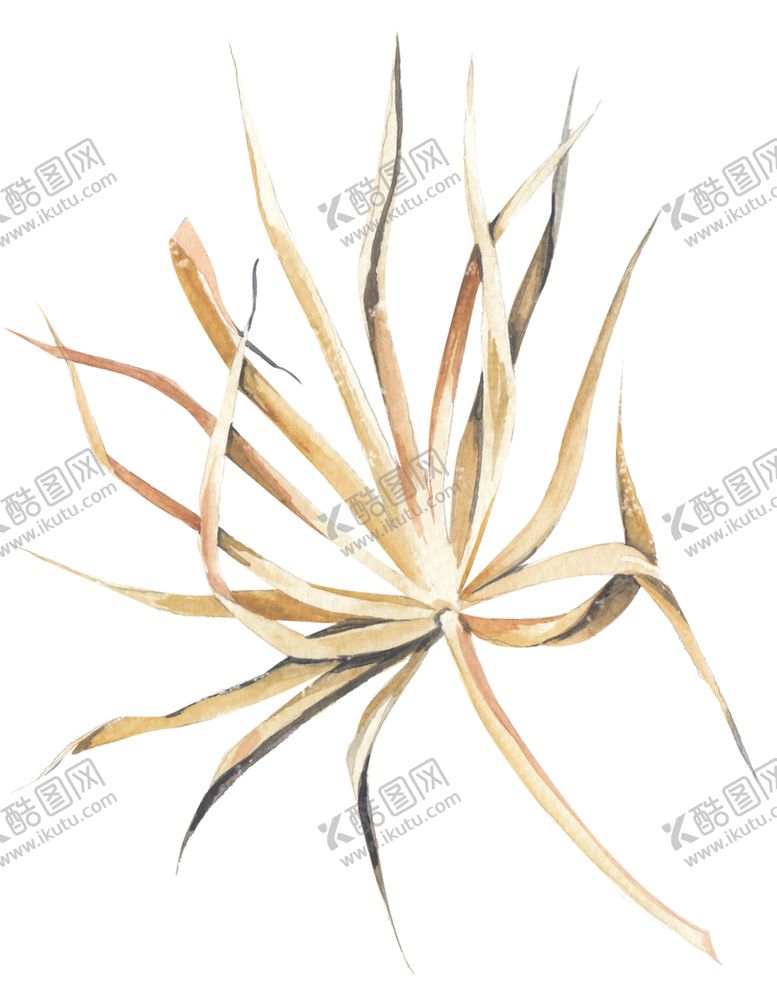 编号：32884607140146412033【酷图网】源文件下载-北欧小清新水彩植物图案