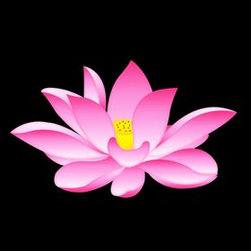 手绘矢量荷花莲花插画插图