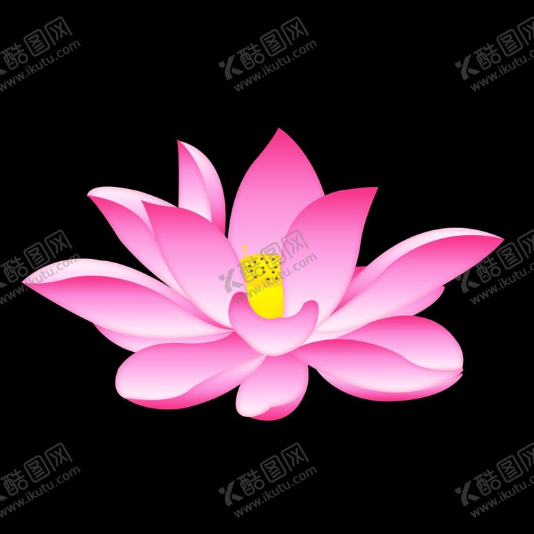 手绘矢量荷花莲花插画插图叶