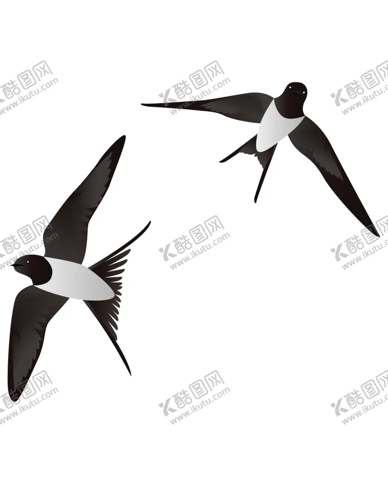 编号：49847705040048306391【酷图网】源文件下载-免扣燕子素材图片