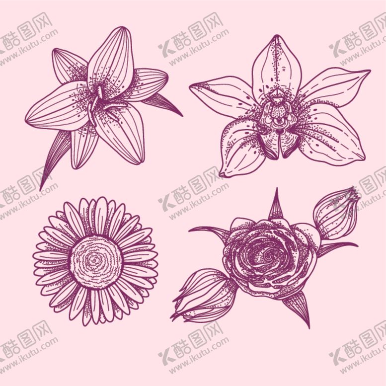 编号：46441705160511168177【酷图网】源文件下载-绿植花卉