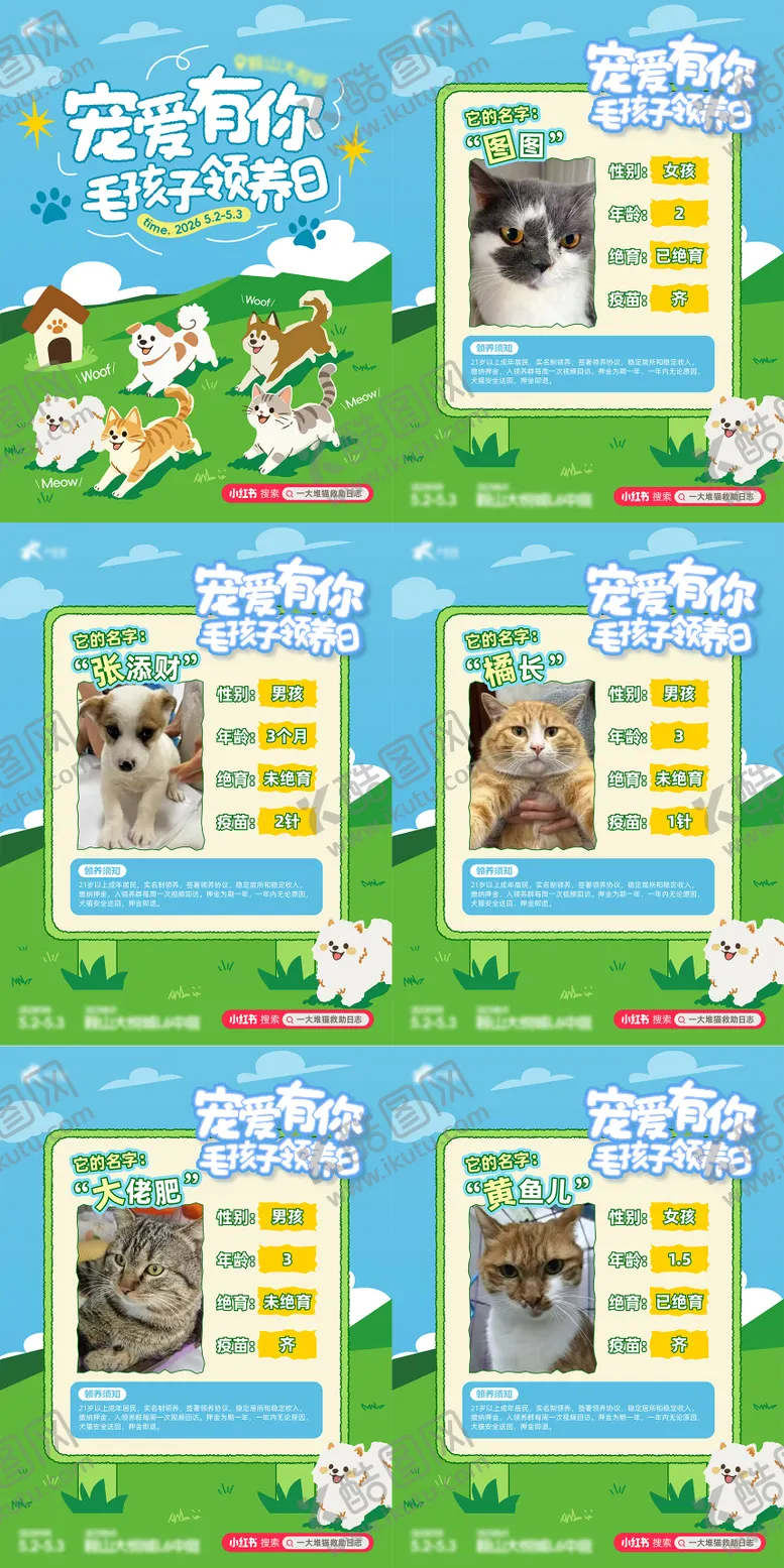 编号：26828905301126444246【酷图网】源文件下载-商业购物中心猫狗宠物领养活动海报