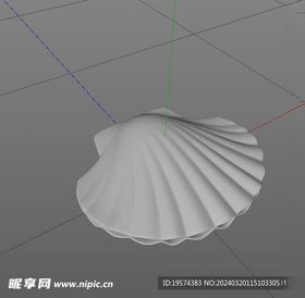 C4D模型贝壳