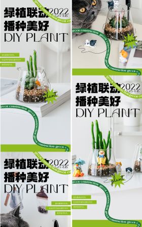 绿植多肉活动手植DIY主画面