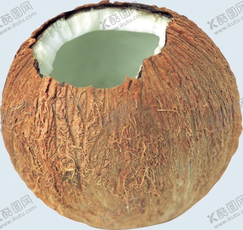 编号：38216001201845522175【酷图网】源文件下载-椰子