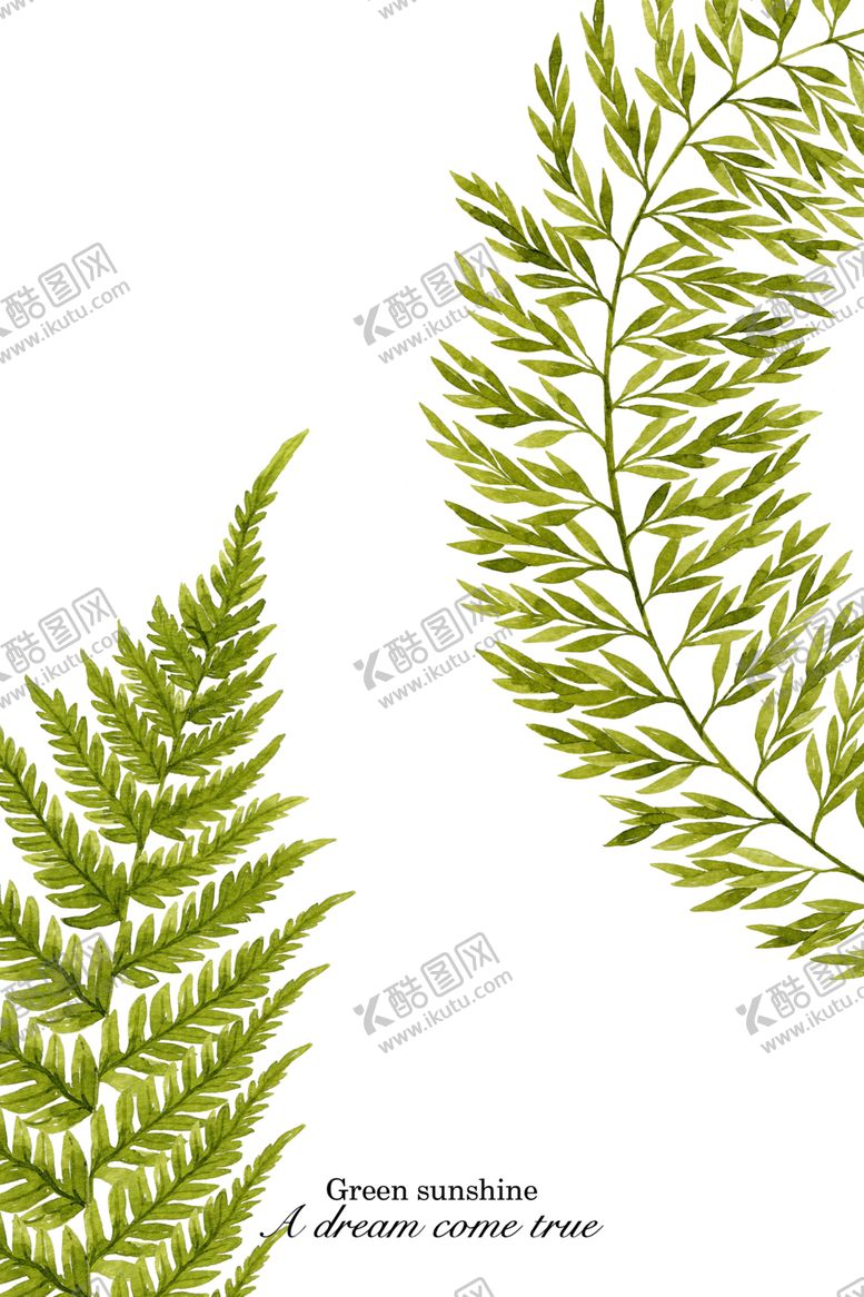 编号：46106606242053067783【酷图网】源文件下载-植物装饰画