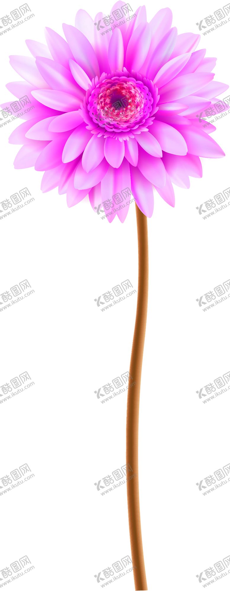 编号：69386010241059407354【酷图网】源文件下载-鲜花素材