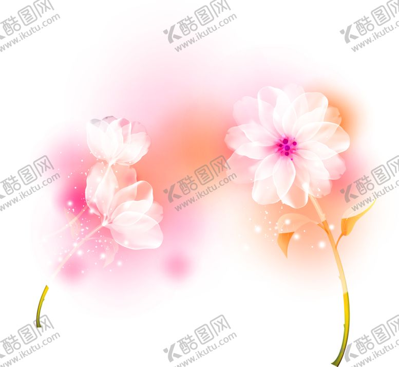 编号：59232310182231203995【酷图网】源文件下载-花素材