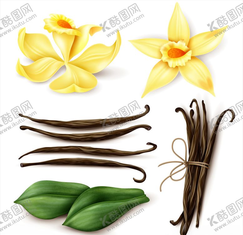 编号：95621307040620213586【酷图网】源文件下载-花朵