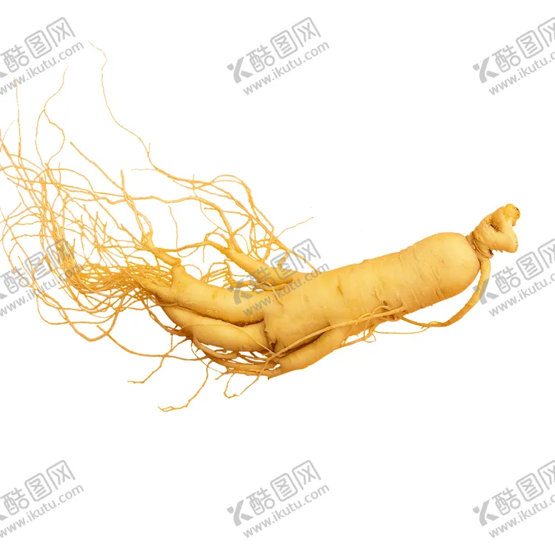 编号：38509709210747201854【酷图网】源文件下载-人参