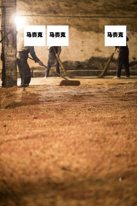 酿酒