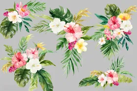 热带花卉植物水彩图案