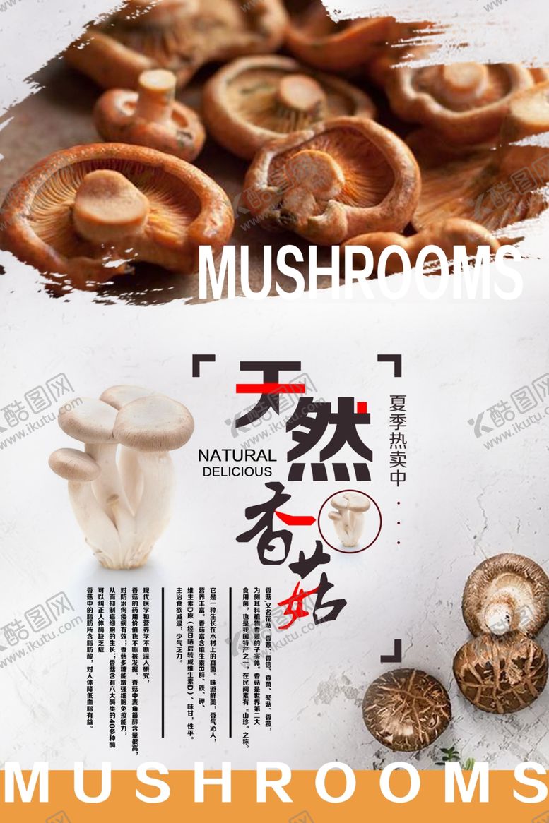 编号：76122210100812301164【酷图网】源文件下载-香菇