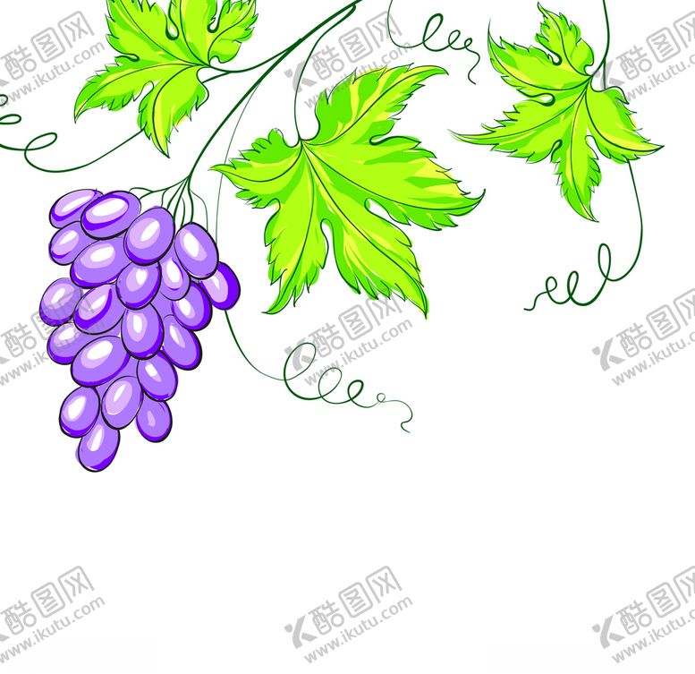 编号：37493610250355567244【酷图网】源文件下载-葡萄水果蔬菜