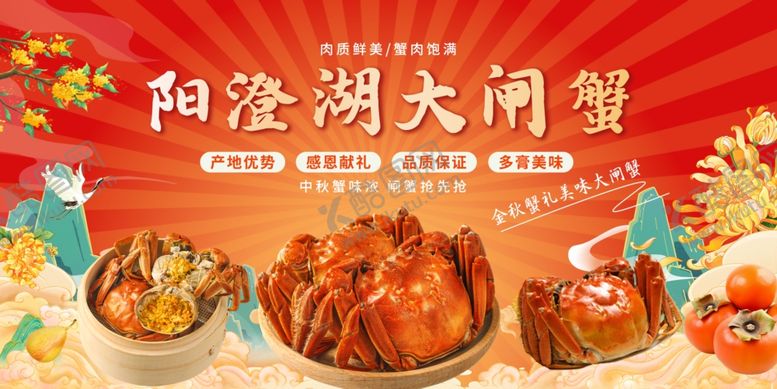 编号：89502811020238167562【酷图网】源文件下载-大闸蟹