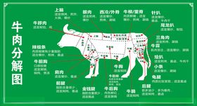 牛肉分割图