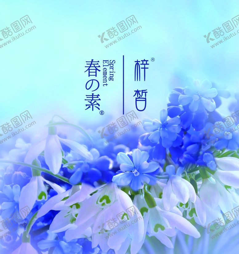 编号：33071204061417419229【酷图网】源文件下载-紫色花