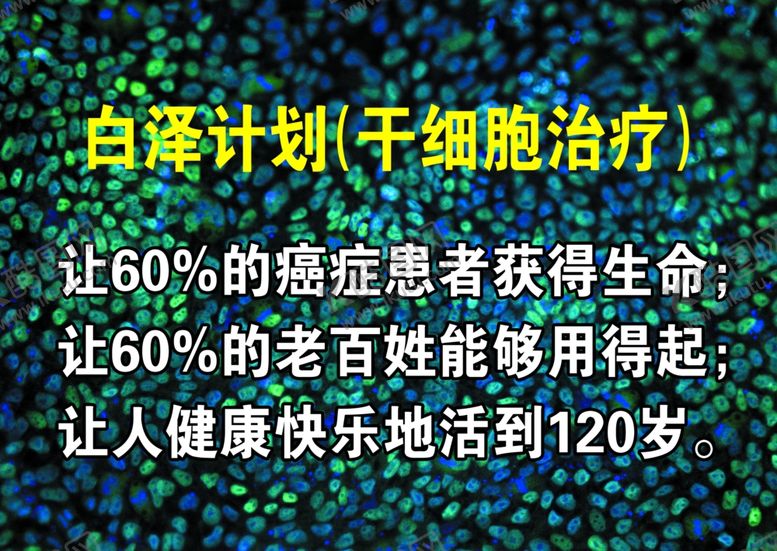 编号：32739405082009595314【酷图网】源文件下载-干细胞