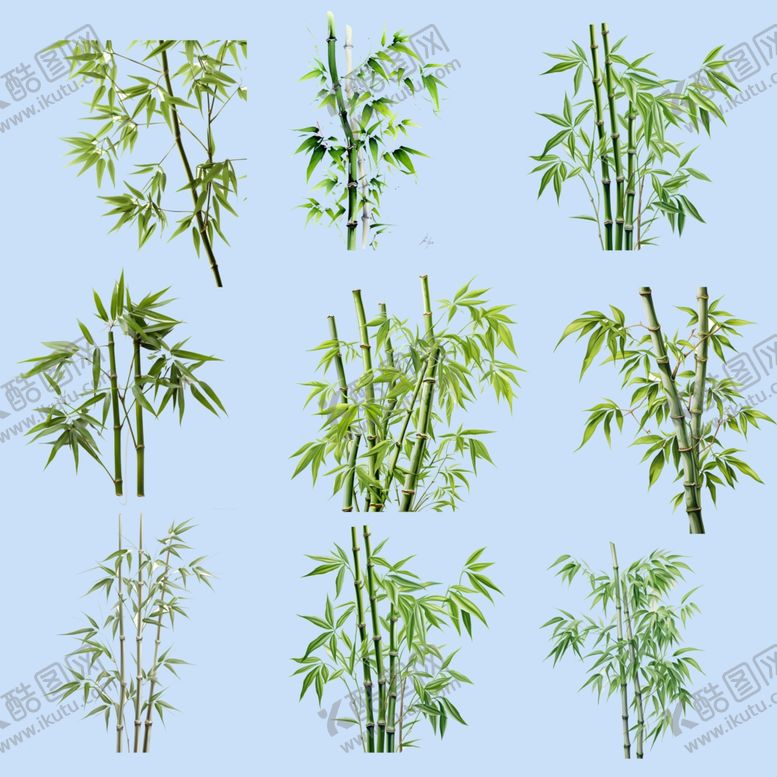 编号：27054110300621423428【酷图网】源文件下载-多样翠竹素材集