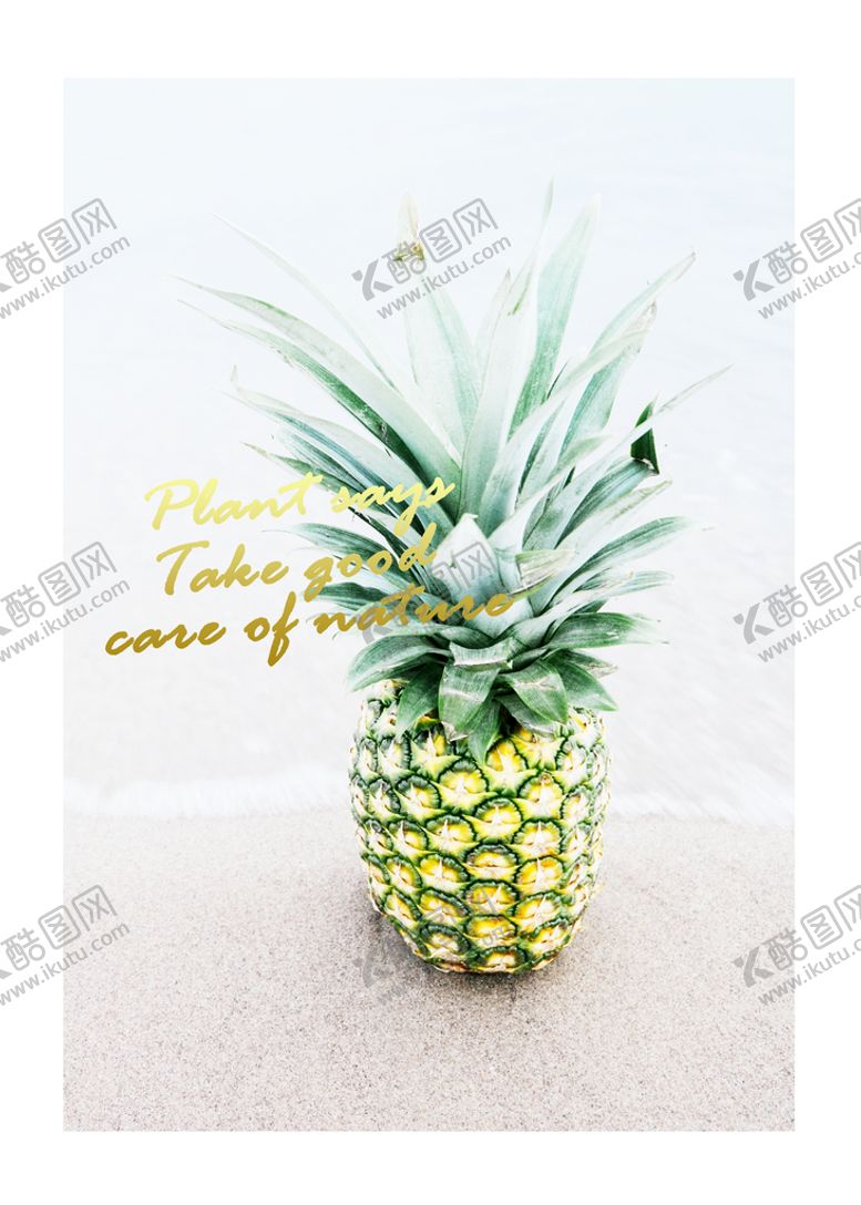 编号：80951209250814328169【酷图网】源文件下载-欧式植物风景挂画装饰画