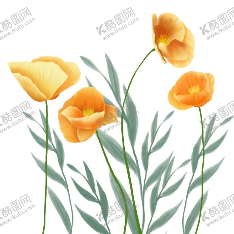 编号：98718207060908489506【酷图网】源文件下载-手绘格桑花