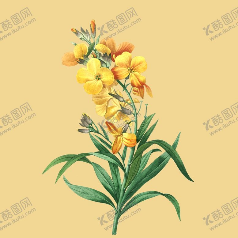 编号：96077401290648517467【酷图网】源文件下载-太阳花