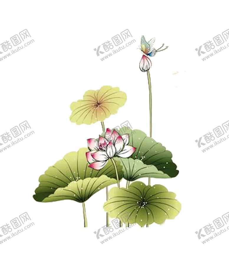 编号：84268607020932493863【酷图网】源文件下载-荷花