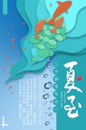 夏至夏天海报二十四节气