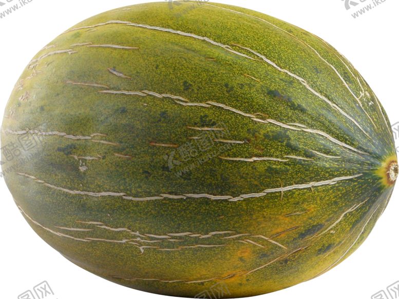 编号：28856310141718129869【酷图网】源文件下载-甜瓜