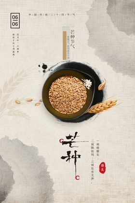 国风简约芒种海报
