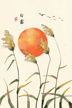 白露地产珠展架活动
