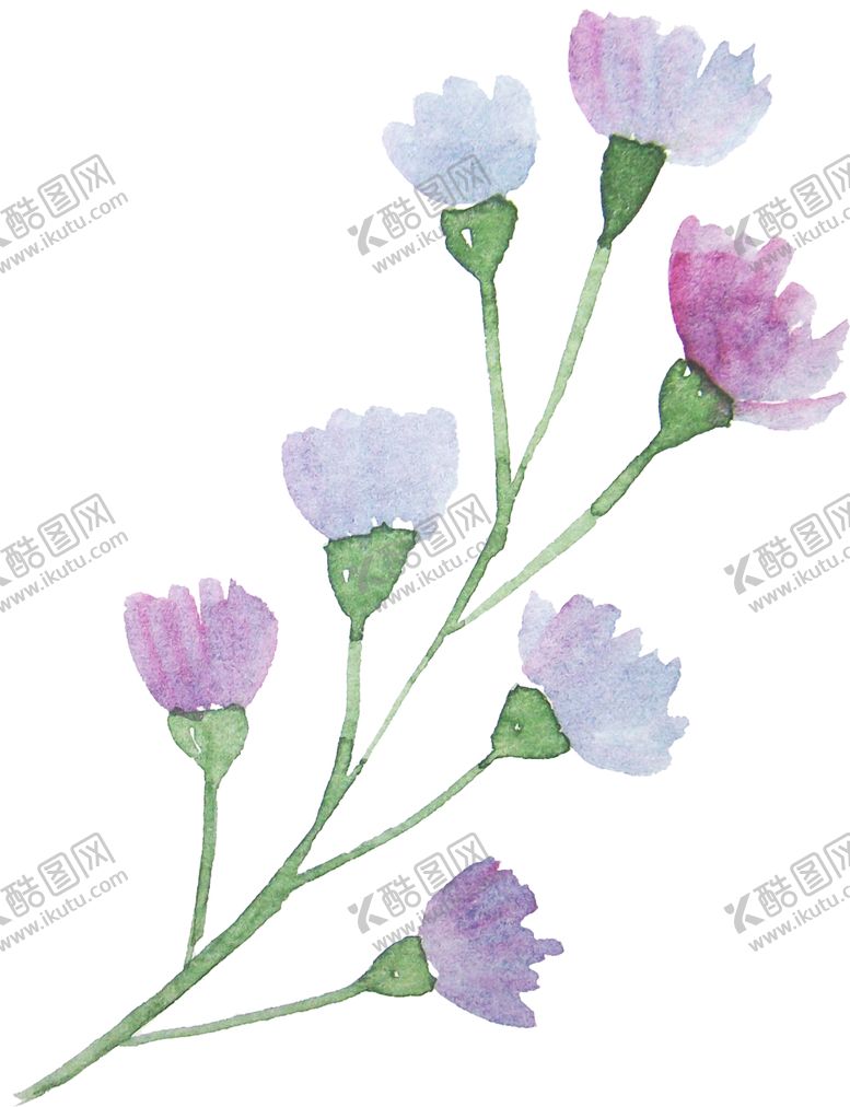 编号：84275006262130412717【酷图网】源文件下载-彩绘植物
