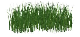绿色草坪png透明底