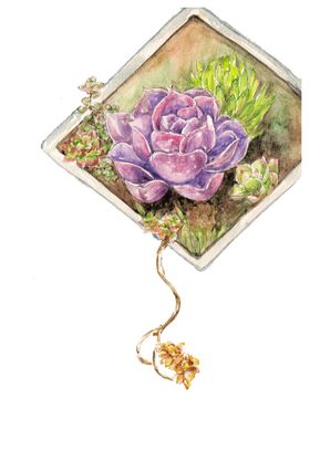 png格式植物花卉手绘素材插画插图型