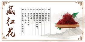 藏红花banner