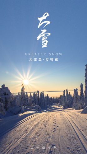  大雪海报 