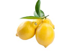 柠檬
