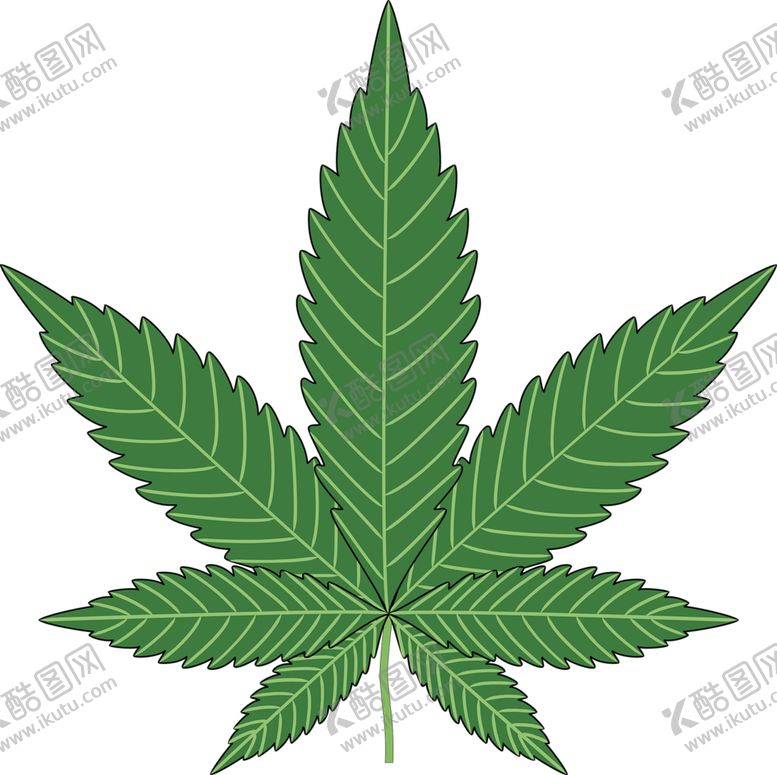 编号：41758309170804463390【酷图网】源文件下载-树叶