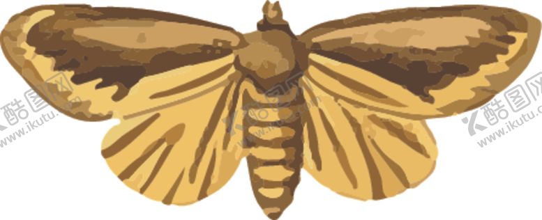 编号：43317309282321496227【酷图网】源文件下载-蝴蝶昆虫插画