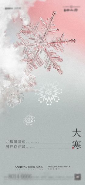 大寒雪花节气海报