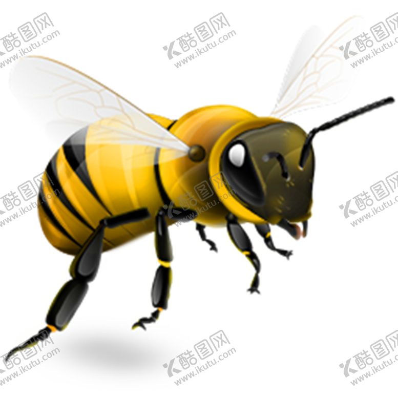 编号：85592009191151272805【酷图网】源文件下载-蜜蜂
