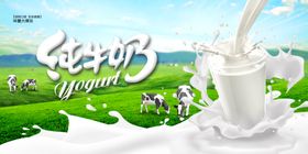 新鲜鸡蛋自然好品质