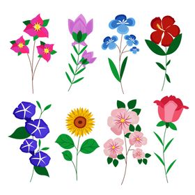 各种花朵手绘植物水彩卉插图插画