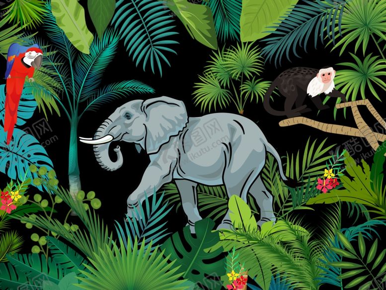 编号：42863106170540281290【酷图网】源文件下载-热带雨林边框