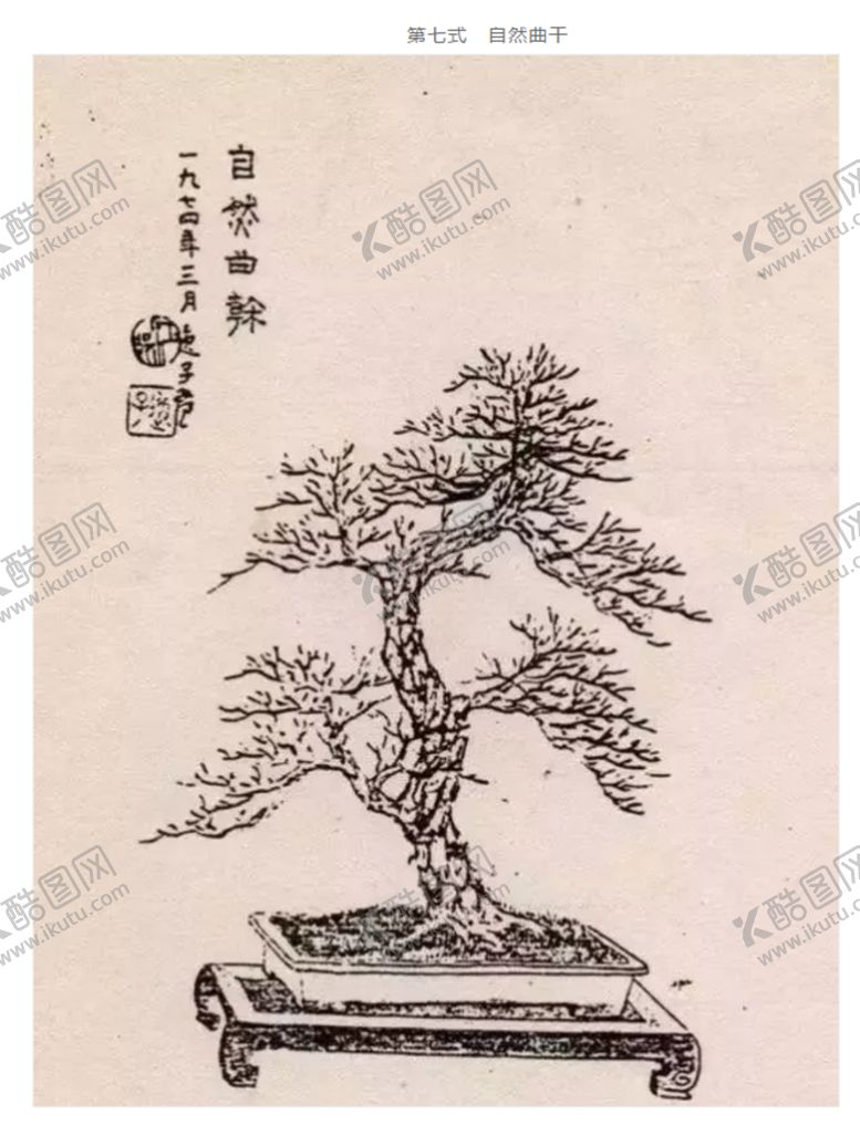 编号：10032110081611275245【酷图网】源文件下载-盆景造型七式