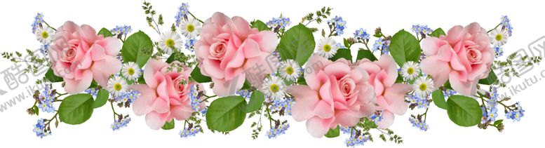 编号：87700109231833573668【酷图网】源文件下载-玫瑰花