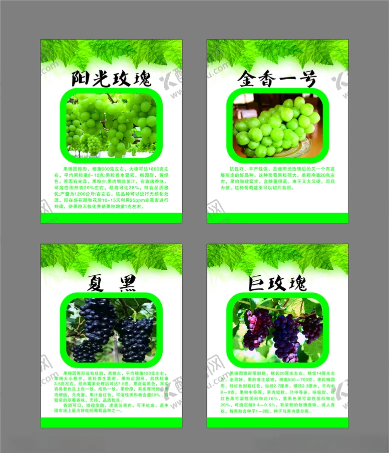 编号：65956804060938594786【酷图网】源文件下载-葡萄海报