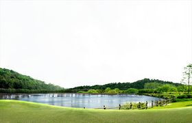 草地背景