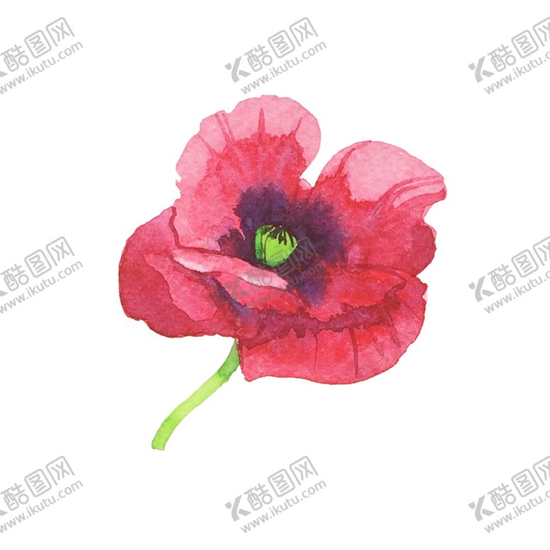 编号：31456806261249465000【酷图网】源文件下载-手绘植物
