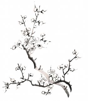 梅花国画